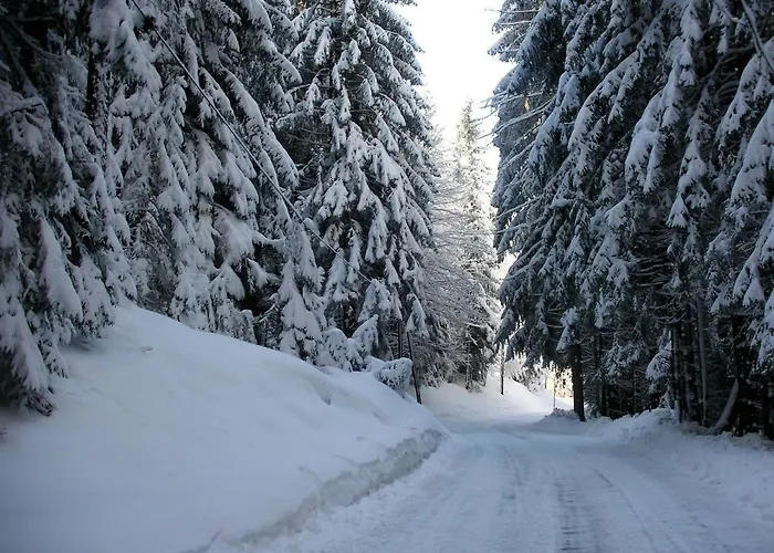 In Near Slopes Holiday home *